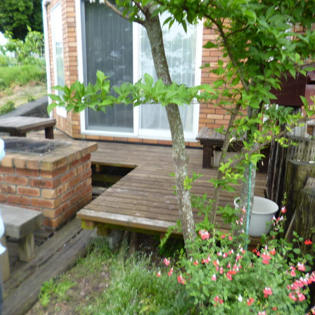 ビフォーの画像