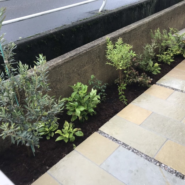 植栽①の画像