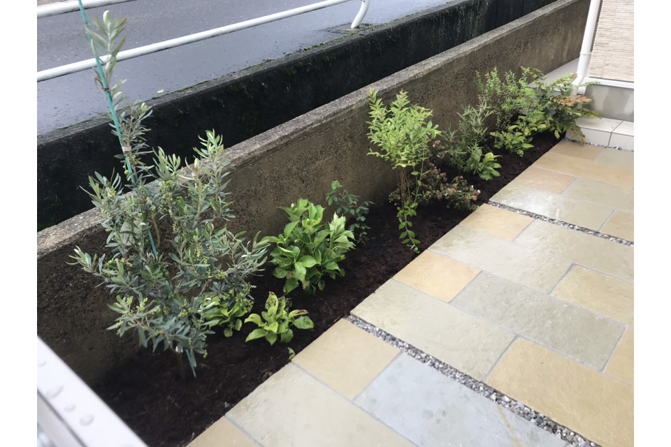 植栽①の画像