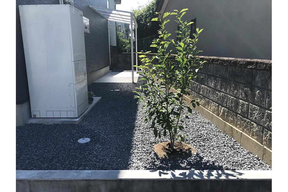 植栽③の画像
