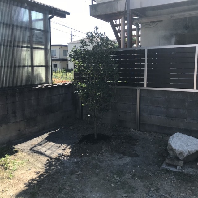 植栽①の画像