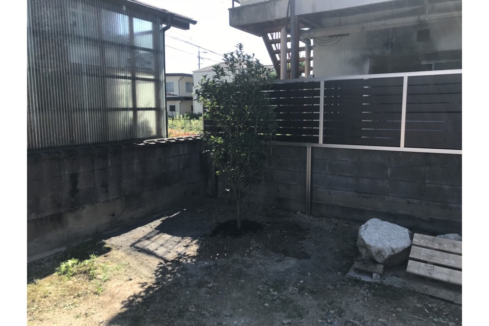 植栽①の画像