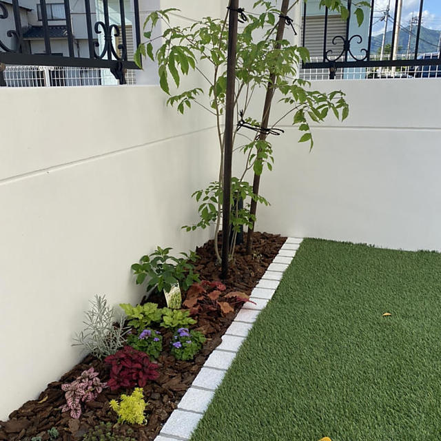 植栽・人工芝の画像