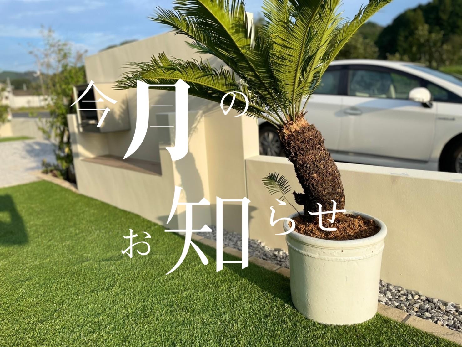 今月のお知らせの画像