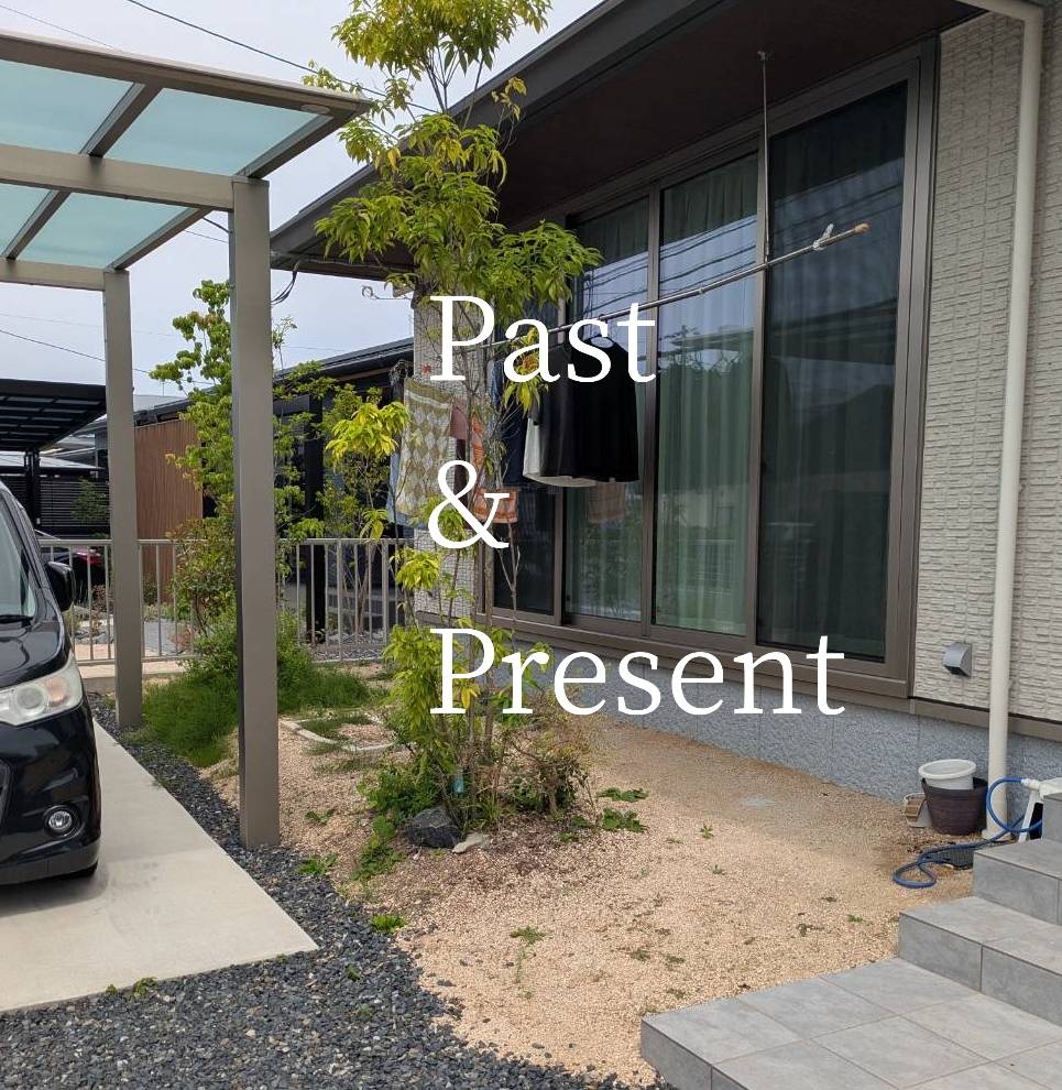 Past & Present⌒☆の画像