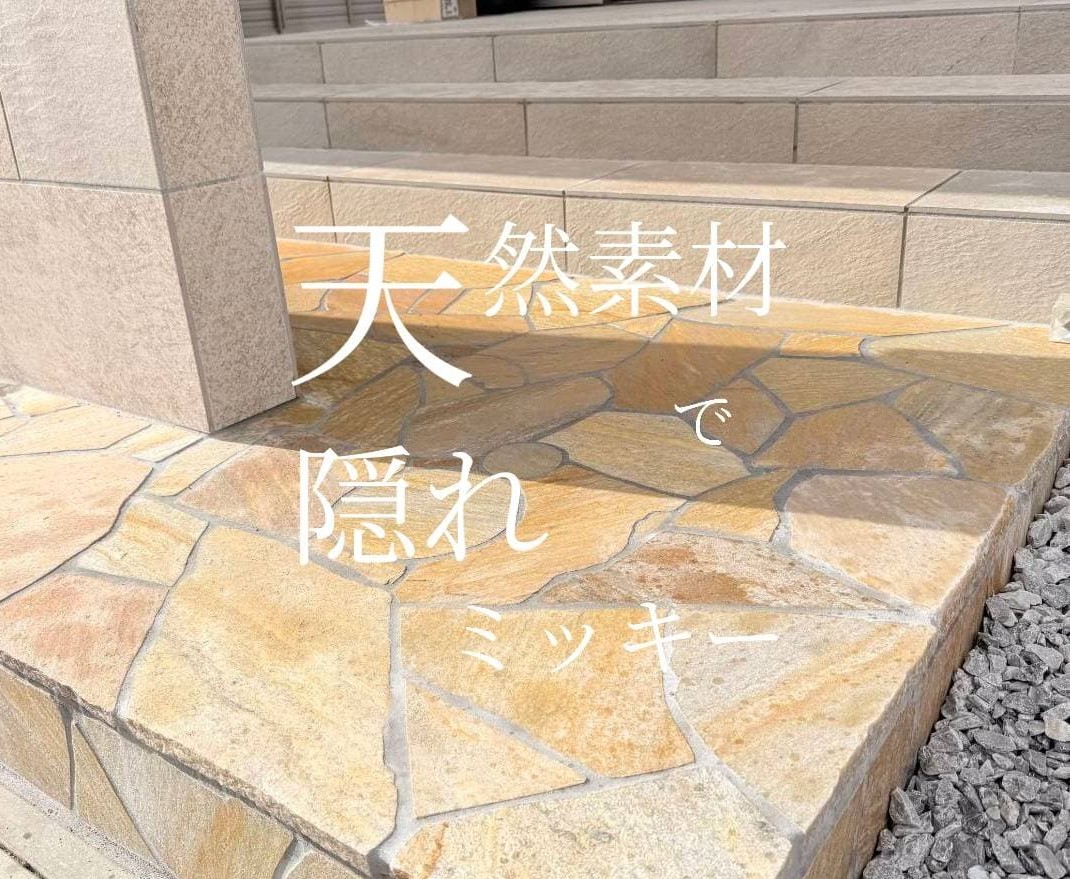 天然素材で隠れ〇〇〇の画像