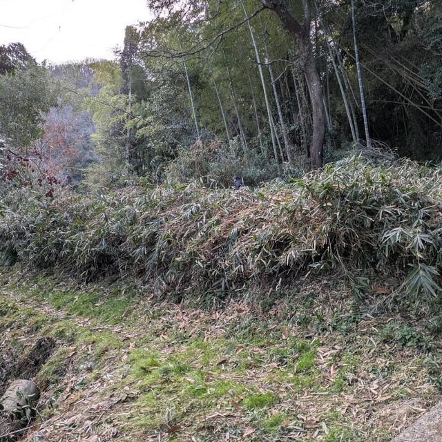施工前の画像