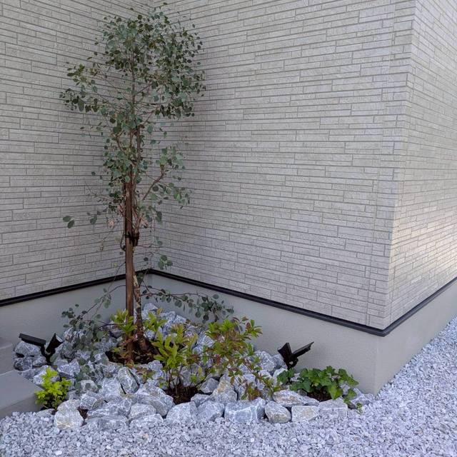 植栽の画像