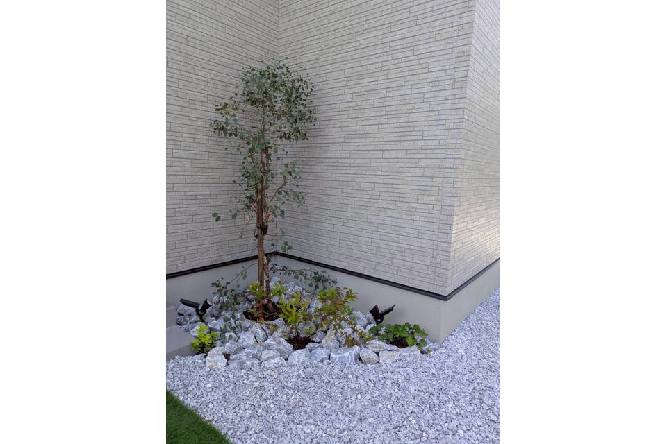 植栽の画像